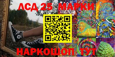 МДПВ Камышлов