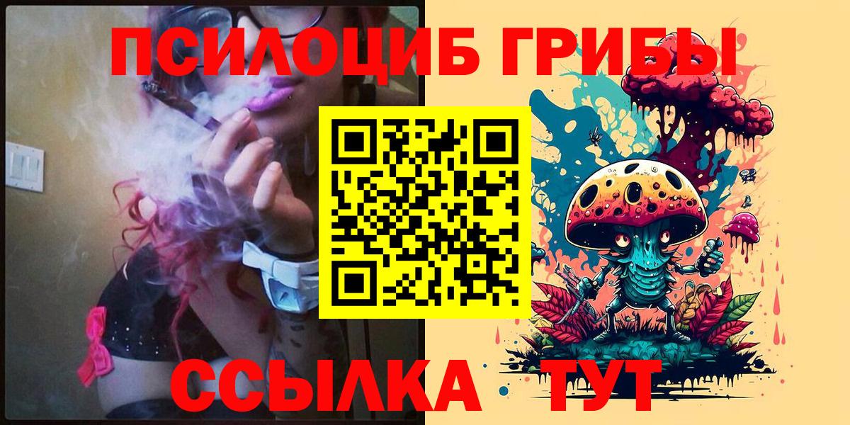 Дербент  Галлюциногенные грибы Psilocybine cubensis  Вход с VPN 